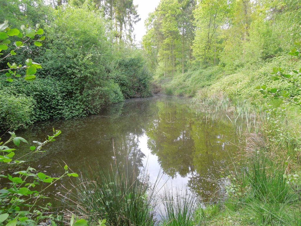 Land for sale in Shawbury, Shrewsbury, SY4 | Halls Holdings